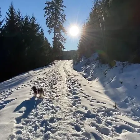Habitación en casa particular Schwarzwaldliebe Ferienzimmer Mit Bad